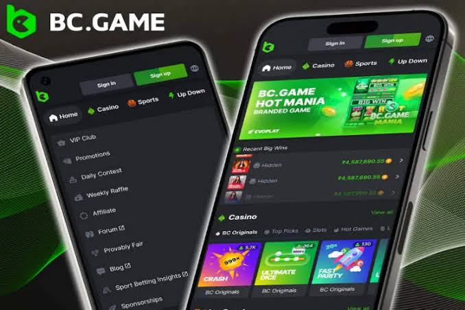 Exploring BC.Game Poland A New Era in Online Gaming